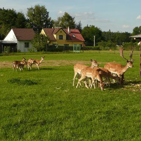 Lhota Appartement Stráž nad Nežárkou